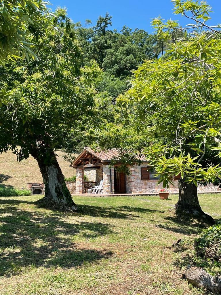 Вілла Casa Nel Bosco Сассетта Екстер'єр фото